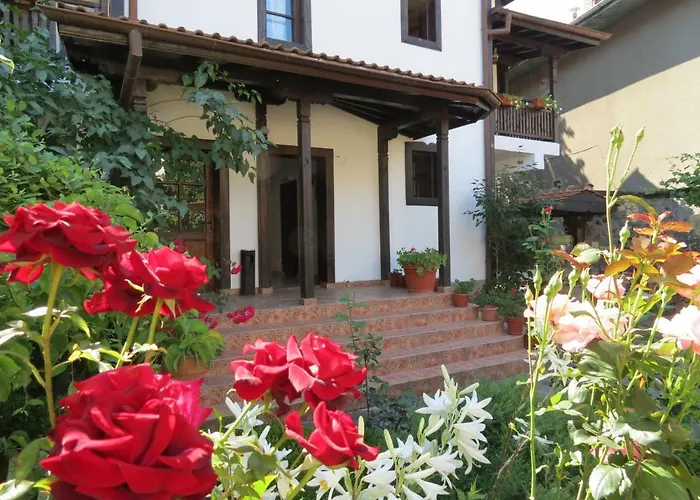 Oazis Guesthouse