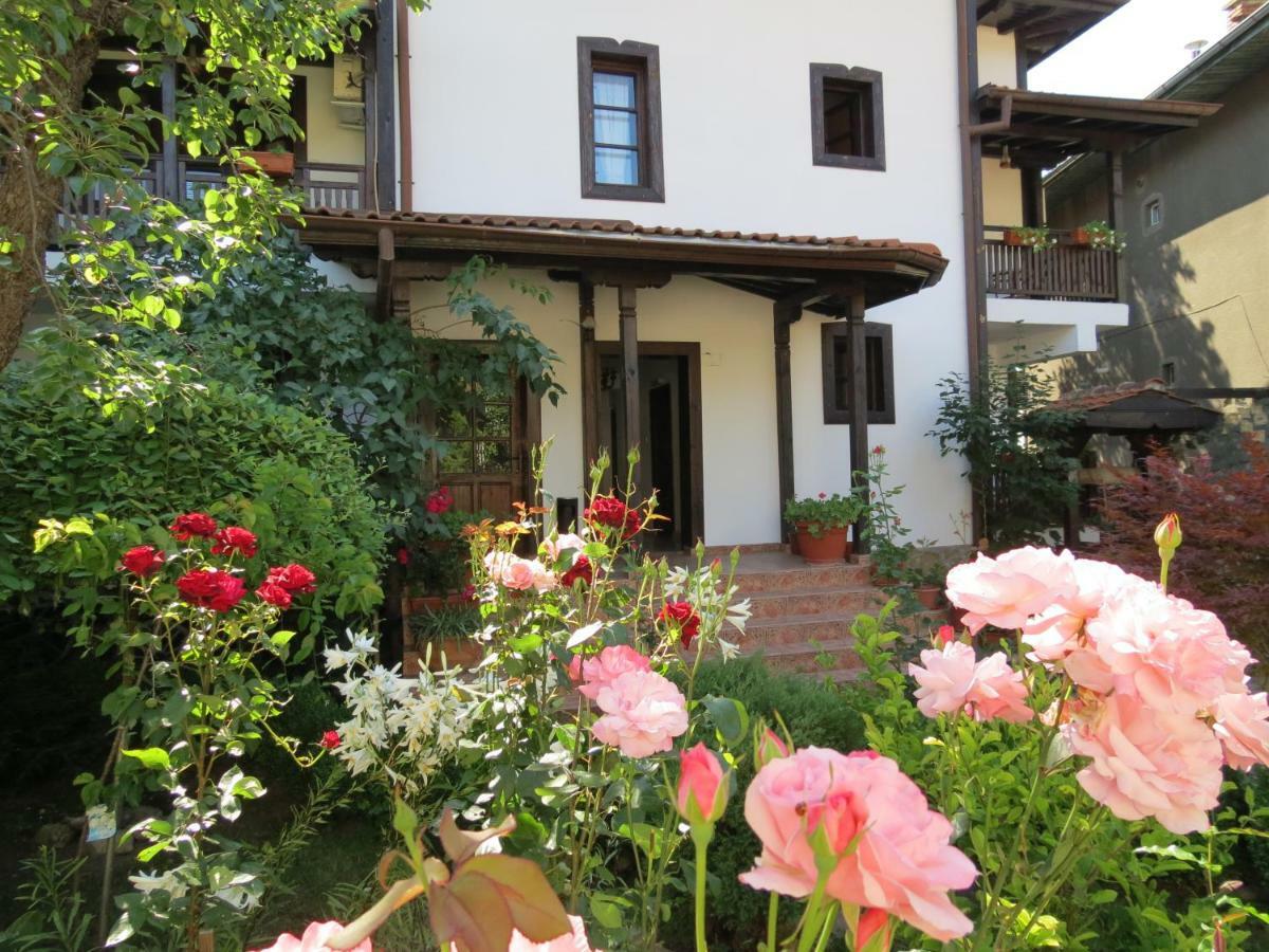 Oazis 3* Lovech